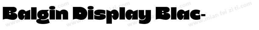 Balgin Display Blac字体转换